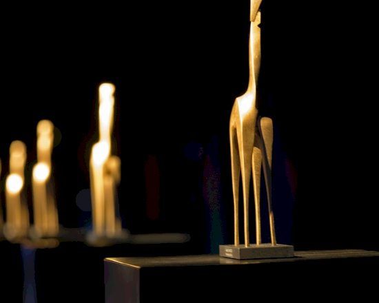 Gouden+Giraffe+Event+Awards%3A+programma+awardshow%2C+koop+nu+tickets%21