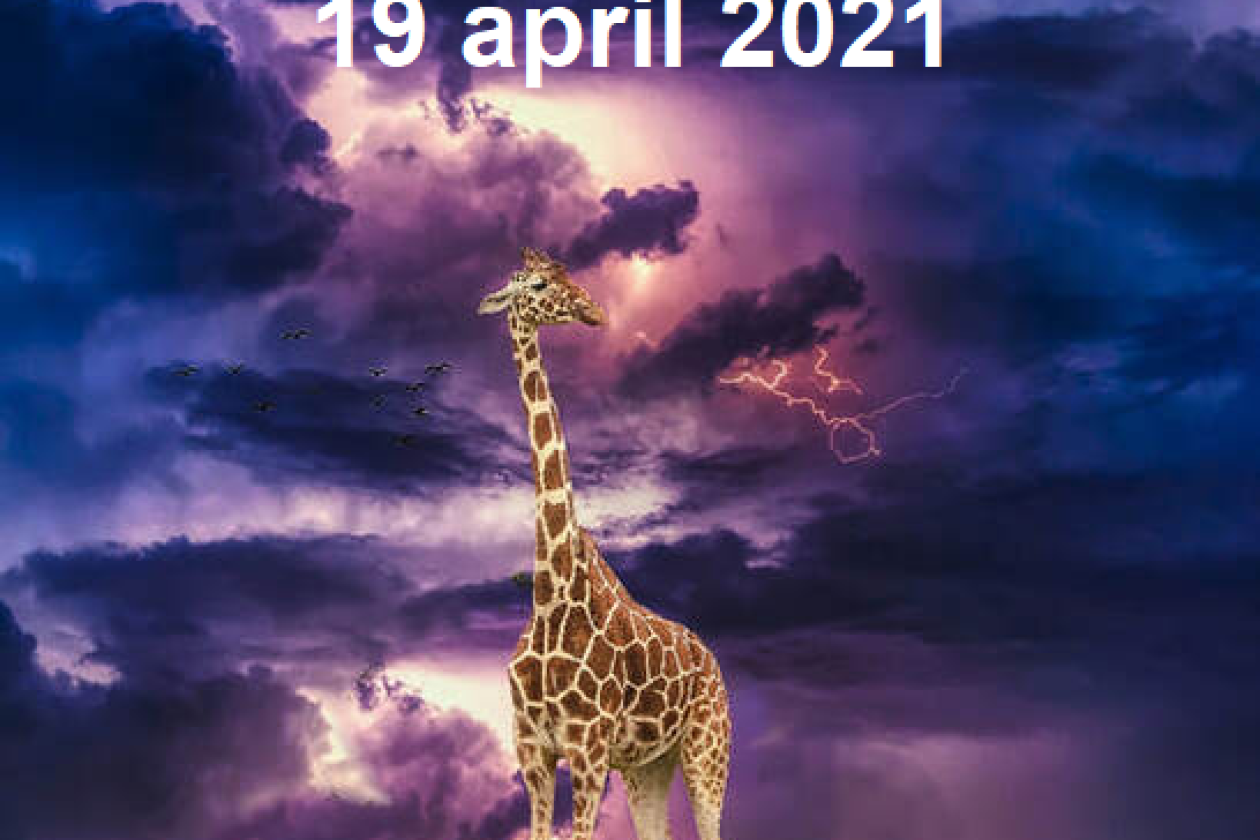 gg2021_banner_nb.png " src=