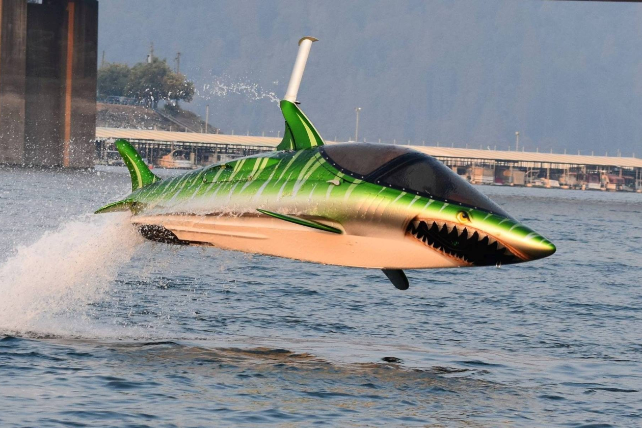 skyshark.jpg " src=