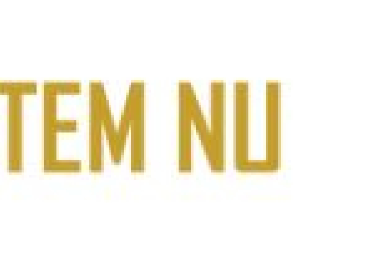 stemmen.jpg " src=
