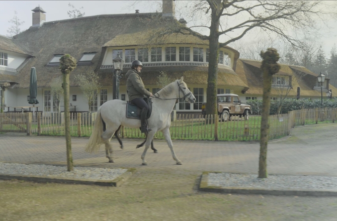 De Utrechtse Heuvelrug