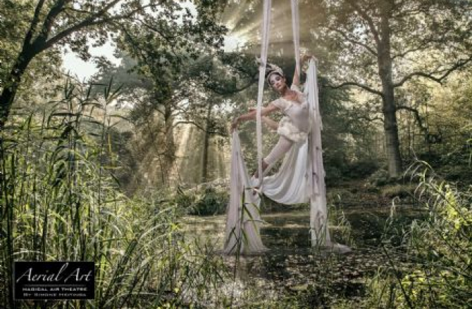 aerial_art_silk3.jpg