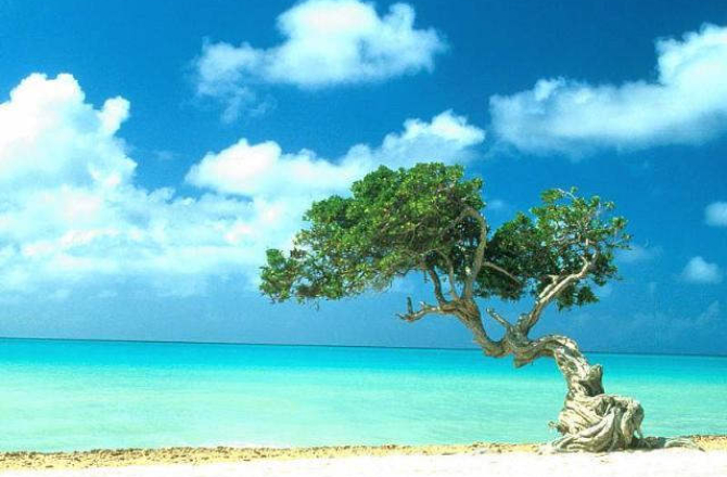 aruba.jpg