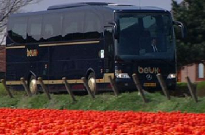 beuk_bollenstreek.jpg