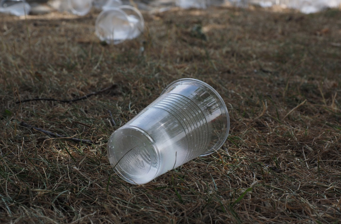 beverage-cups-2147902_1280.jpg