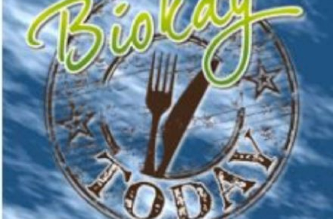 biokay_catering.jpg