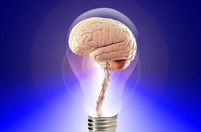brain-g6dd9ed98b_640.jpg