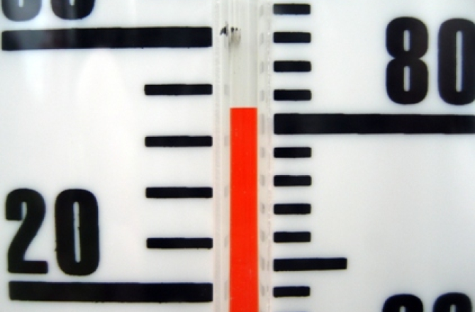 branchebarometer.jpg