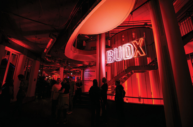 budx.jpg