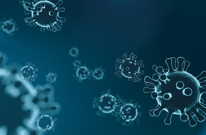 corona_virus.jpg