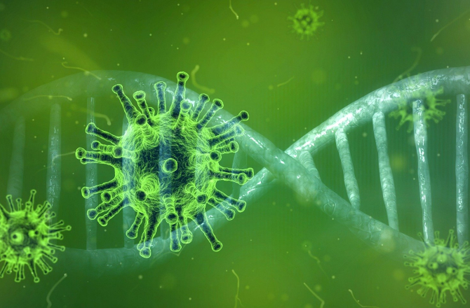 coronavirus-4833754_1920.jpg