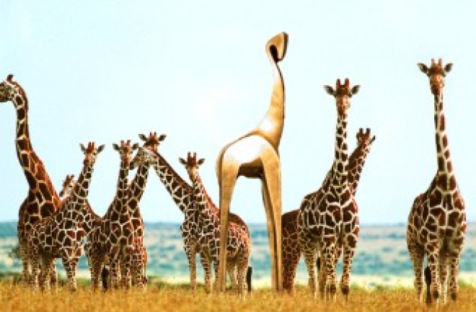 gg_met_echte_giraffe.jpg