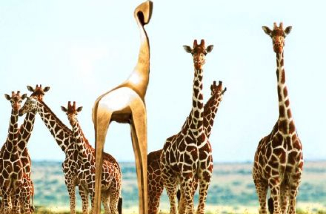 gouden_giraffes.jpg