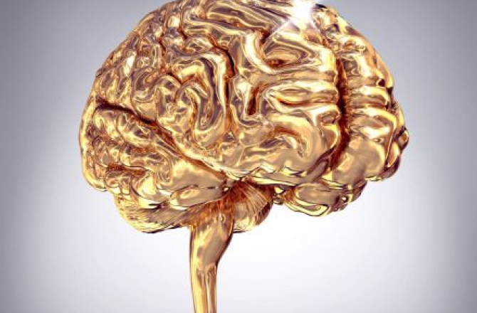 gouden_hersenen_neuromarketing.jpg