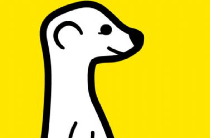 meerkatapp.jpg