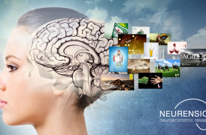 neuro_onderzoek.png