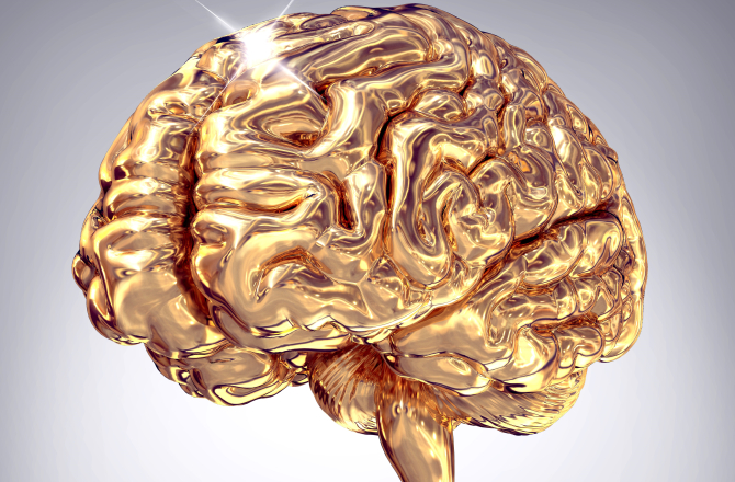 neuromarketing_hersenen.jpg