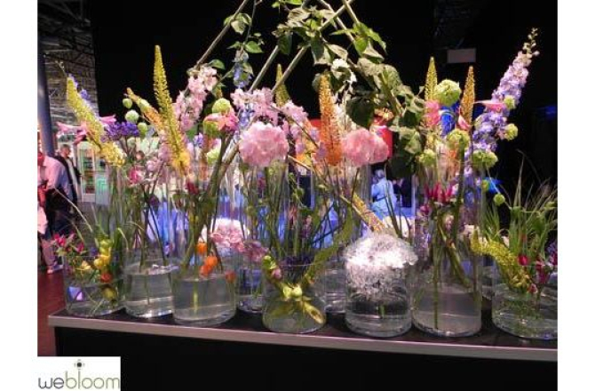 planten_in_locatie.jpg