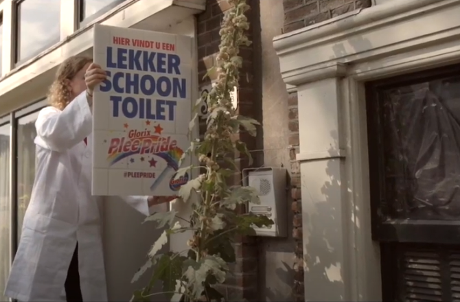 plee_pride_glorix_stunt.png