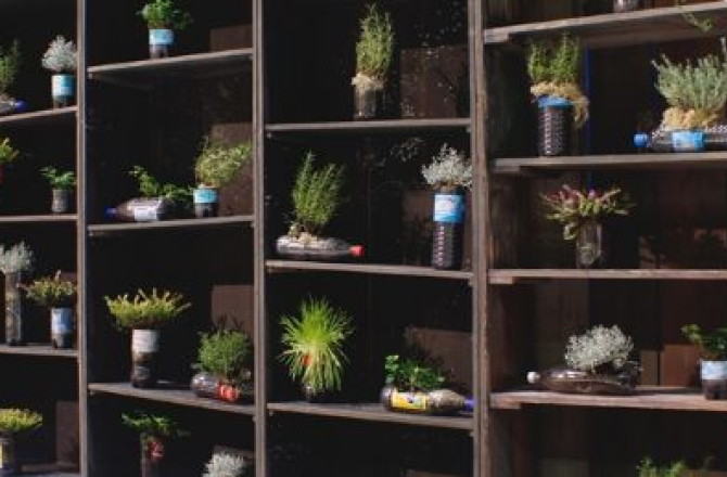 recycle_decoratie-achterkast_kampala-_fles_decoratie-kruidenplantjes.jpg