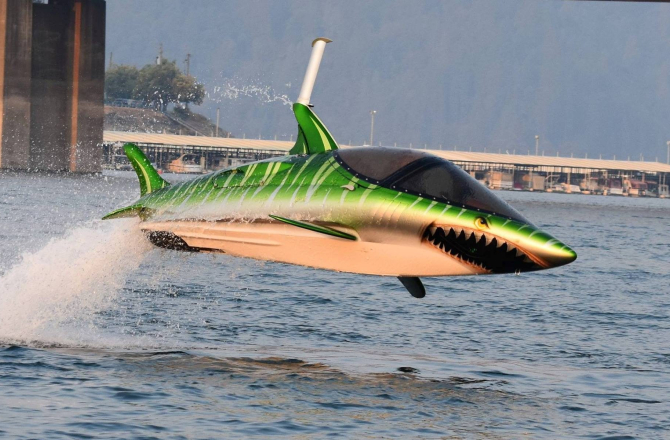 skyshark.jpg