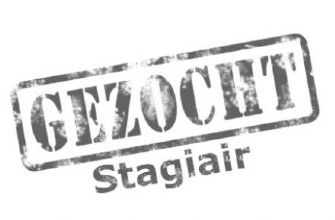stagiair2.jpg