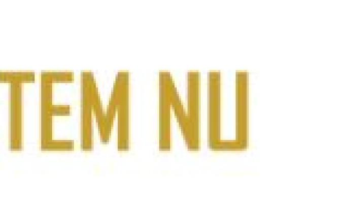 stemmen.jpg
