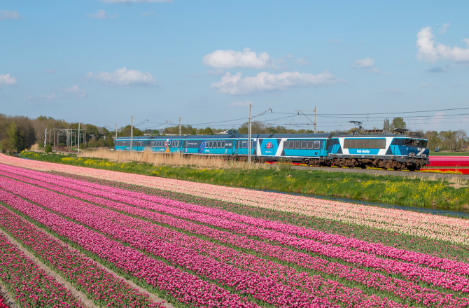 trainevents_foto_6.jpg