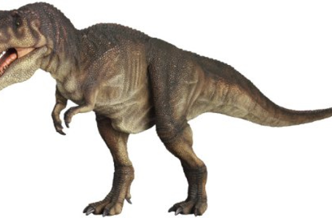 trex.jpg