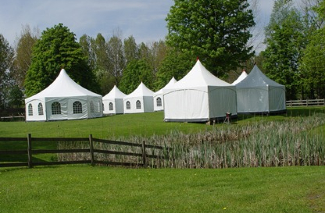 veldeman_groen.jpg