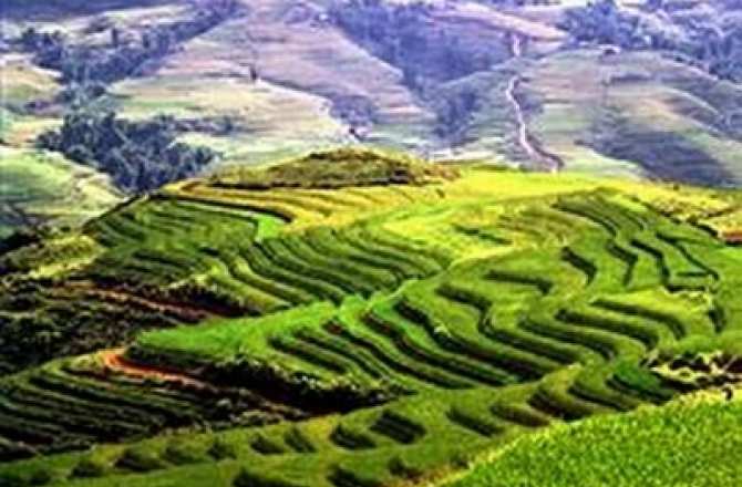 vietnam.jpg