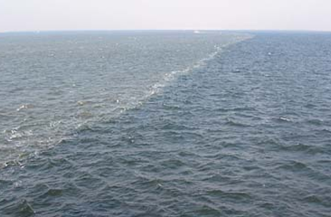 waddenzee.jpg