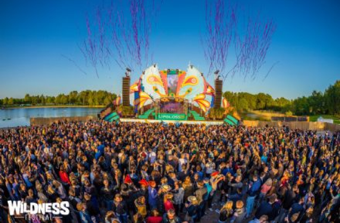 wildness_festival.jpg