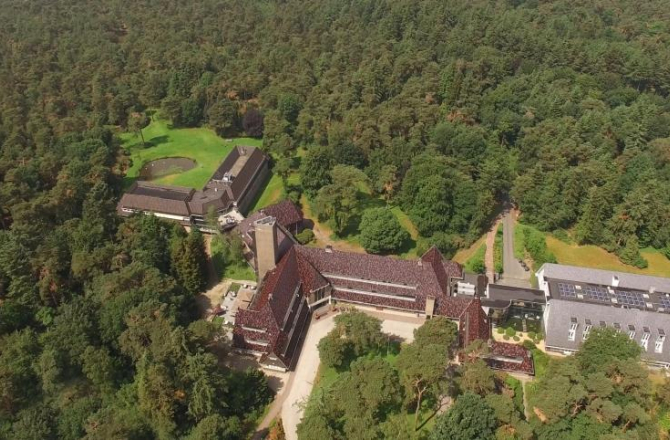 woudschoten_in_het_groen.jpg