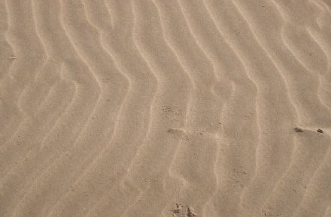 zandvoort.jpg