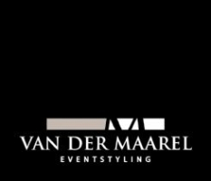 logo_vdms.jpg