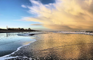 noordwijk.jpg