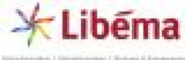 vacature_evenementen_libema_divisies.jpg