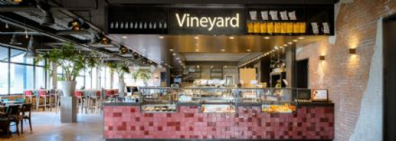 vineyard.jpg