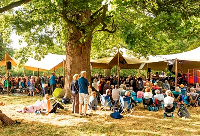 wonderfeel festival