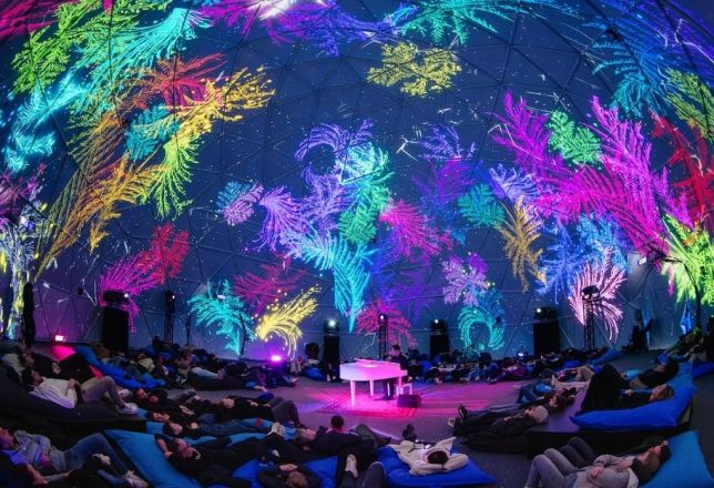 amsterdams winterparadijs