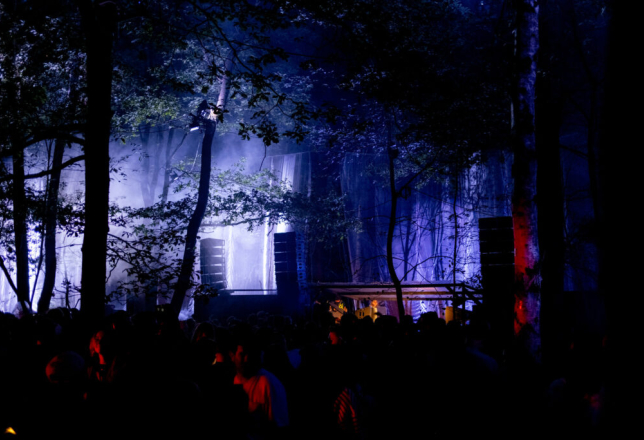 draaimolen festival