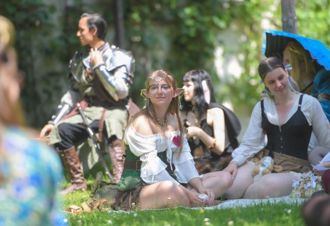 Midzomer Fair