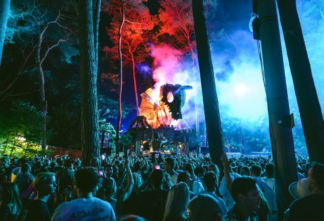Into The Woods