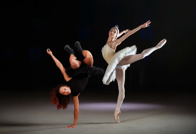 Swan Lake Remixed for ADE